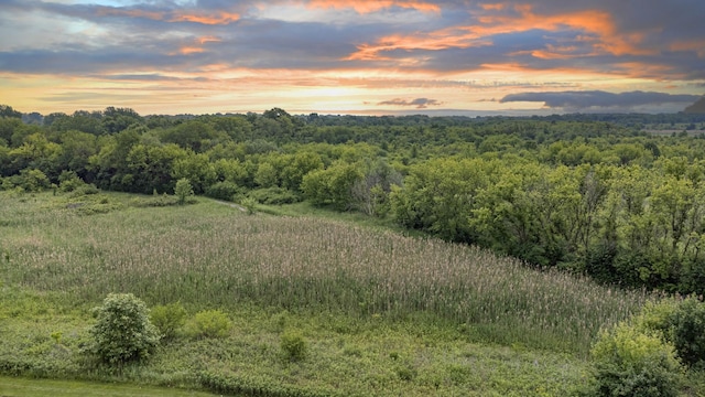 0S630 Hubbard Pl, Geneva, IL 60134 - view of woods