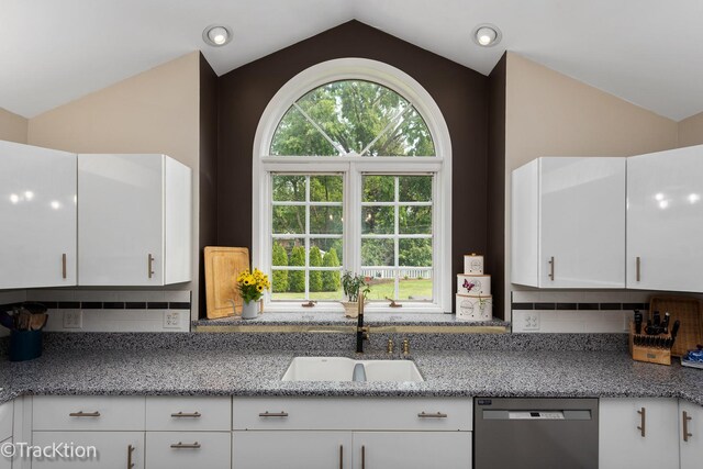 2609 Dougall Rd, Joliet, IL 60433 - kitchen featuring dishwasher, a sink, vaulted ceiling, plenty of natural light, and tasteful backsplash