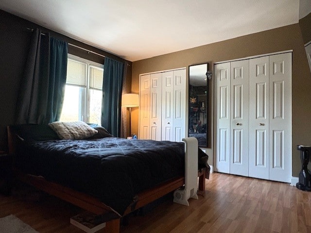 10811 S Keating Ave Unit 3Se, Oak Lawn, IL 60453 - bedroom featuring two closets and wood finished floors