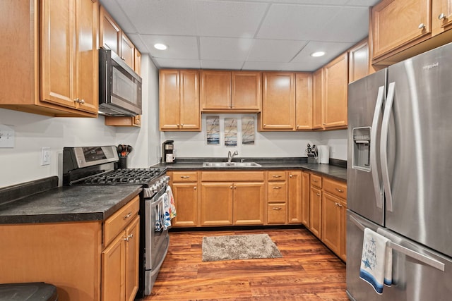 6897 Galena Rd, Bristol, IL 60512 - kitchen featuring appliances with stainless steel finishes, recessed lighting, a sink, a drop ceiling, and wood finished floors