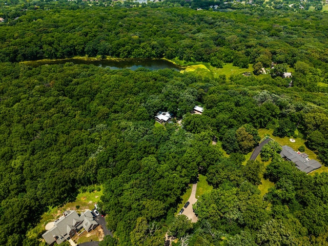 4N650 Pheasant Run Dr, Saint Charles, IL 60175 - drone / aerial view of a forest and a large body of water