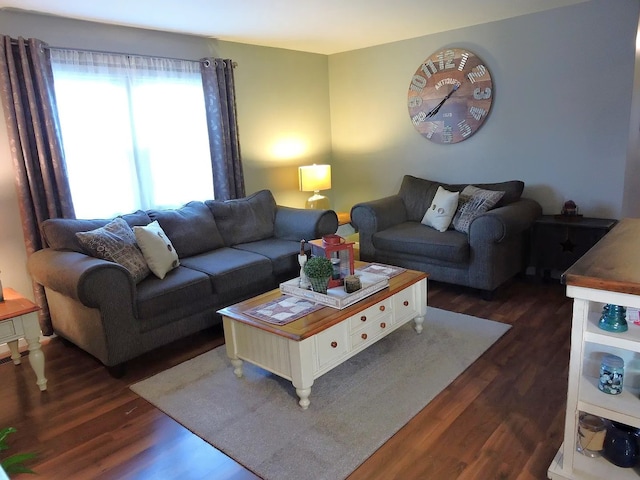 19510 116th Ave Unit D, Mokena, IL 60448 - living room with dark wood-style floors