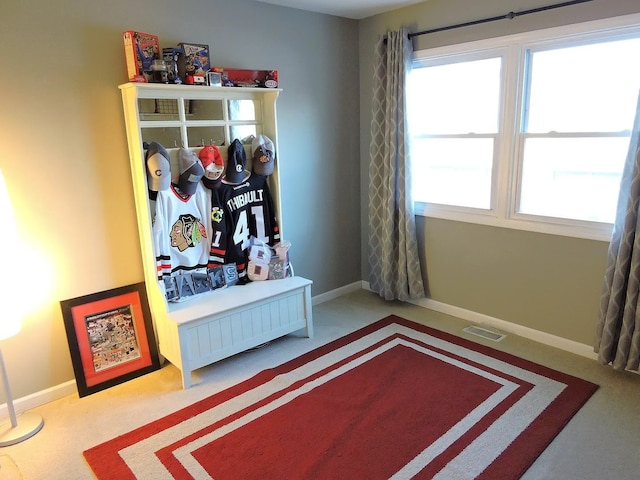 19510 116th Ave Unit D, Mokena, IL 60448 - carpeted bedroom featuring baseboards
