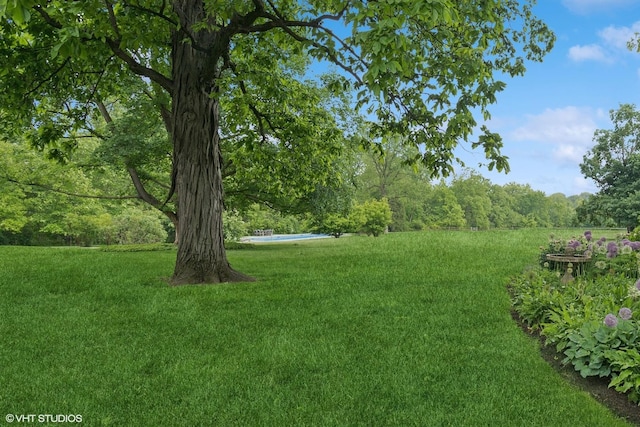 view of green lawn