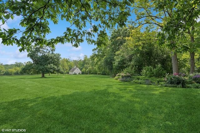 view of grassy yard featuring a forest view