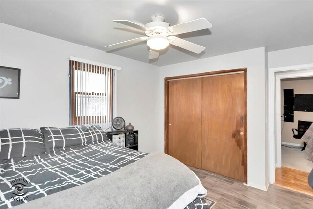 24613 S Goldfinch Ct, Channahon, IL 60410 - photo 10