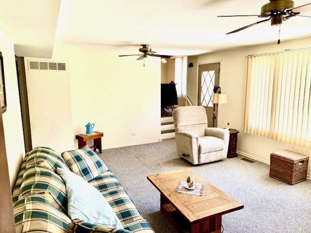 802 N Burning Bush Ln, Mount Prospect, IL 60056 - photo 4