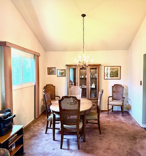 802 N Burning Bush Ln, Mount Prospect, IL 60056 - photo 8