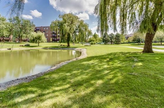 805 Leicester Rd Unit 320, Elk Grove Village, IL 60007 - view of property's community with a yard and a water view