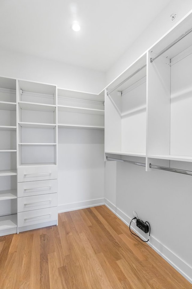 299 Cottage Ave, Glen Ellyn, IL 60137 - spacious closet featuring light wood-style flooring