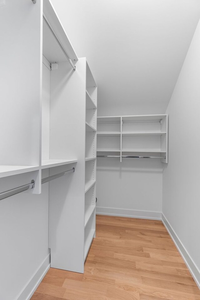 299 Cottage Ave, Glen Ellyn, IL 60137 - walk in closet with light wood-style flooring