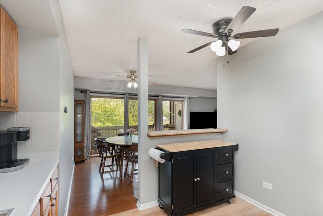 1068 Ashley Ct N Unit 2A, Lockport, IL 60441 - kitchen featuring ceiling fan, light countertops, dark cabinets, backsplash, and light wood-type flooring