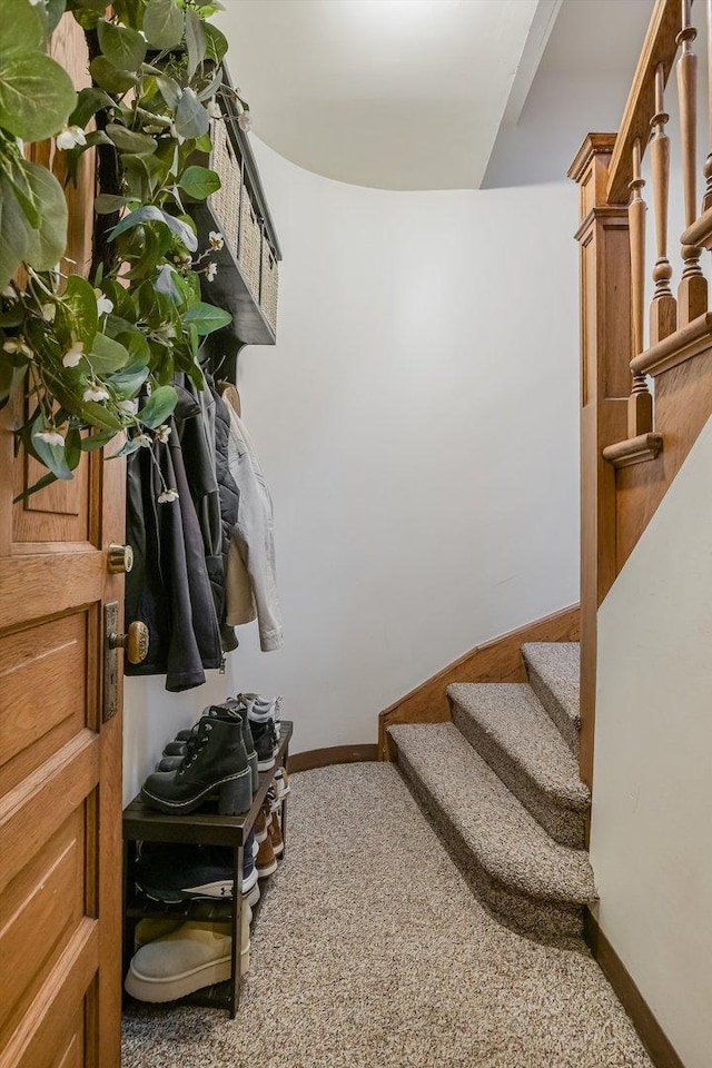 706 W Melrose Ave Unit 3, Chicago, IL 60657 - mudroom with carpet floors and baseboards