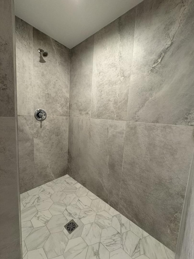 15937 Orchid Ln, Lockport, IL 60441 - bathroom with tiled shower