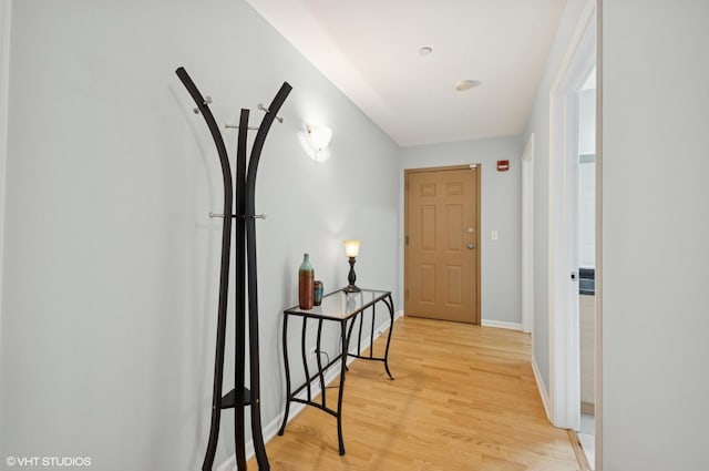 911 Busse Hwy Unit 302, Park Ridge, IL 60068 - hall featuring light wood finished floors and baseboards