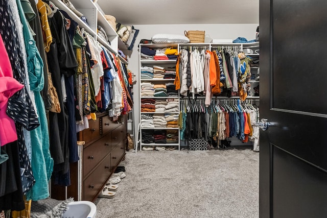 4203 Curtis Meadow Dr, Champaign, IL 61822 - spacious closet with carpet