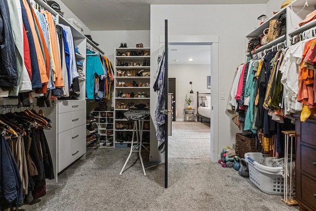 4203 Curtis Meadow Dr, Champaign, IL 61822 - walk in closet with carpet floors