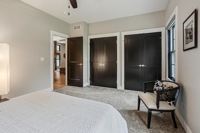 4203 Curtis Meadow Dr, Champaign, IL 61822 - bedroom with carpet, two closets, and ceiling fan