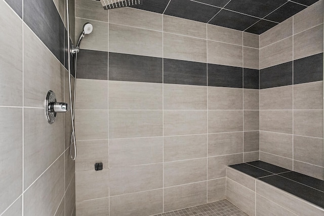 4203 Curtis Meadow Dr, Champaign, IL 61822 - full bath featuring a tile shower
