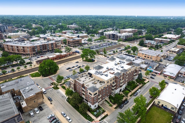 965 Rogers St Unit 208, Downers Grove, IL 60515 - view of urban area