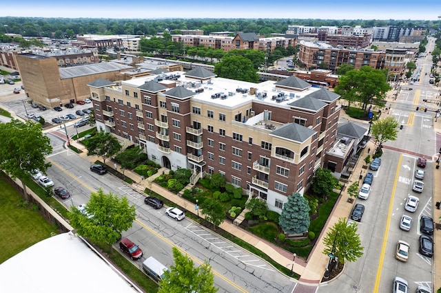 965 Rogers St Unit 208, Downers Grove, IL 60515 - view of urban area