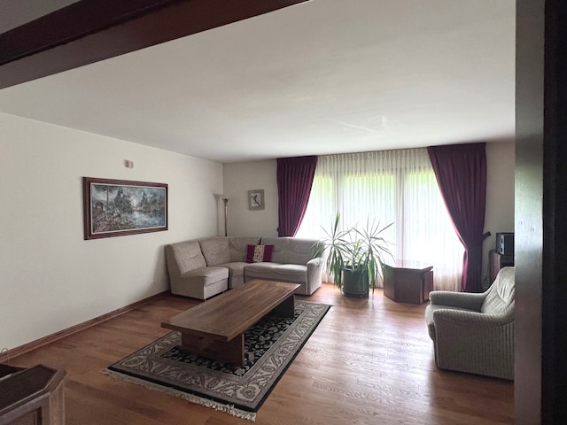 38W361 Binnie Rd, Dundee, IL 60118 - living room featuring wood finished floors