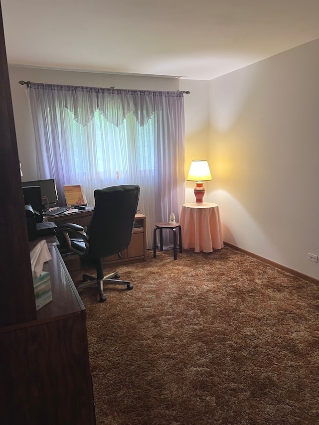 38W361 Binnie Rd, Dundee, IL 60118 - view of carpeted home office
