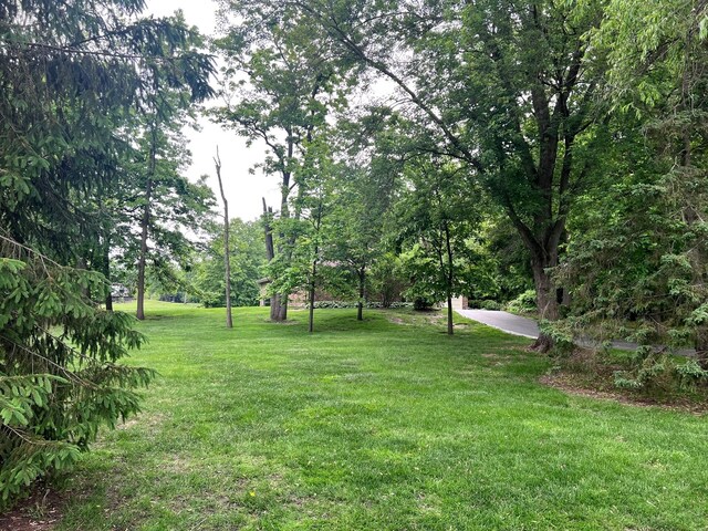 38W361 Binnie Rd, Dundee, IL 60118 - view of green lawn