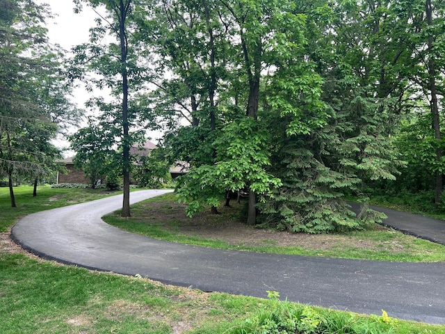 38W361 Binnie Rd, Dundee, IL 60118 - view of asphalt road