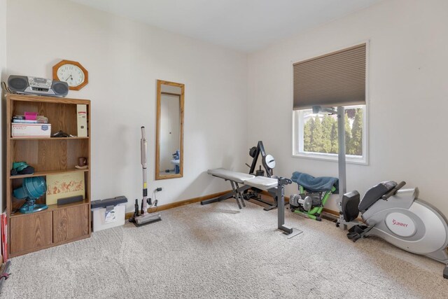 298 Fern Dr, Elk Grove Village, IL 60007 - workout area featuring carpet flooring and baseboards