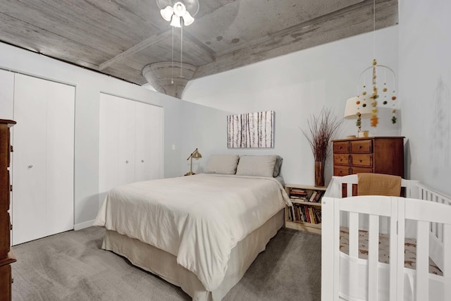 1110 W 15th St Unit 228, Chicago, IL 60608 - bedroom with carpet flooring and multiple closets