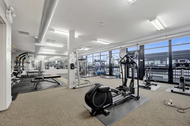1110 W 15th St Unit 228, Chicago, IL 60608 - gym with carpet, a water view, and expansive windows