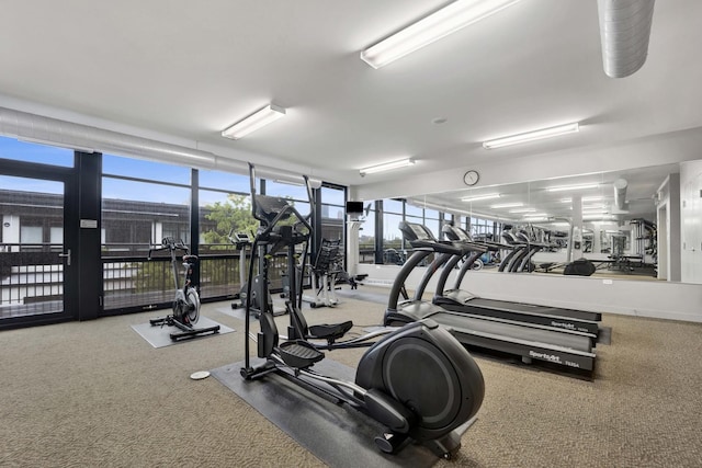 1110 W 15th St Unit 228, Chicago, IL 60608 - exercise room featuring carpet flooring