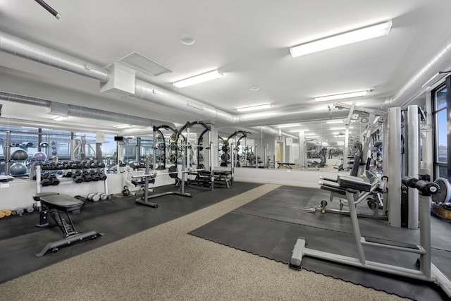 1110 W 15th St Unit 228, Chicago, IL 60608 - view of gym