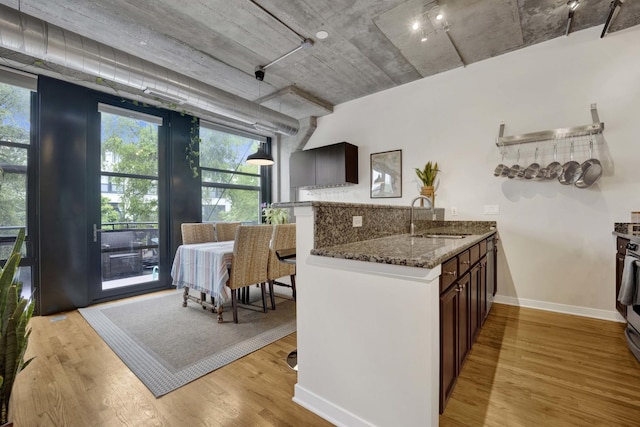 1110 W 15th St Unit 228, Chicago, IL 60608 - kitchen with a peninsula, light wood-style floors, a sink, dark stone counters, and baseboards