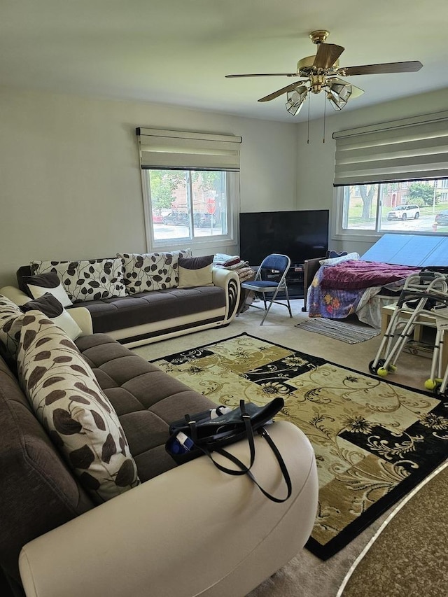 4825 Davis St, Skokie, IL 60077 - photo 27