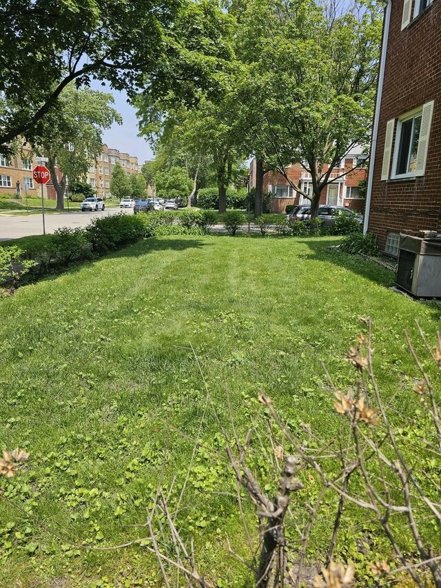4825 Davis St, Skokie, IL 60077 - photo 6