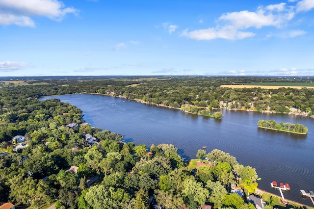 5110 W Lake Shore Dr, Wonder Lake, IL 60097 - bird's eye view of a heavily wooded area and a nearby body of water