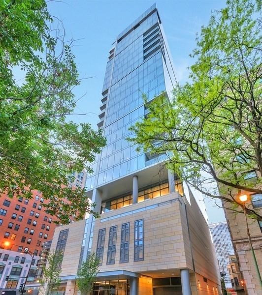 4 E Elm St Unit 20N, Chicago, IL 60611 - photo 1