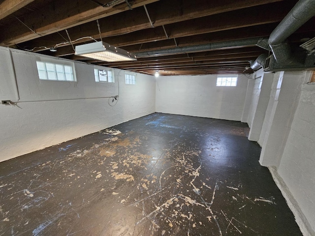 1311 N Neil St, Champaign, IL 61820 - view of below grade area