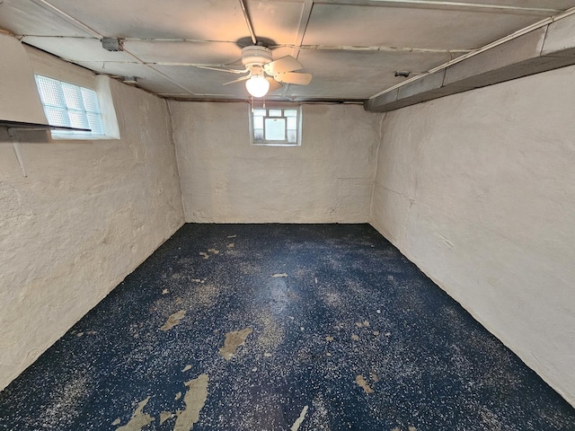 1311 N Neil St, Champaign, IL 61820 - below grade area featuring plenty of natural light