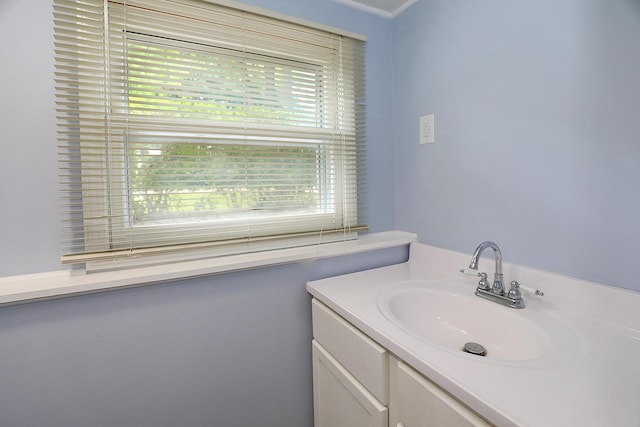1N485 Neltnor Blvd, West Chicago, IL 60185 - bathroom featuring vanity