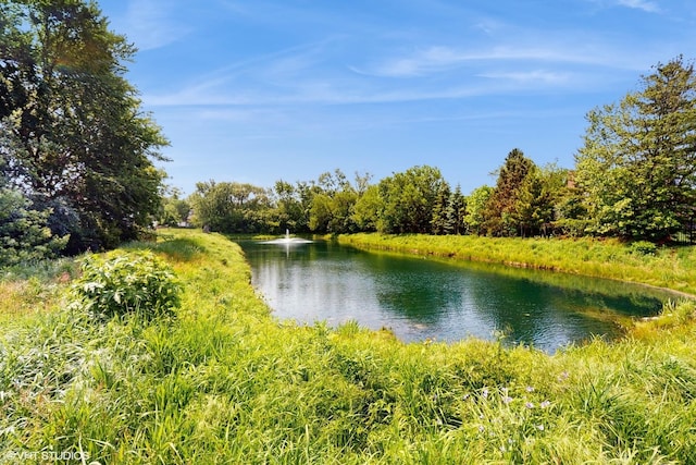 8 E Kennedy Ln Unit 302, Hinsdale, IL 60521 - water view