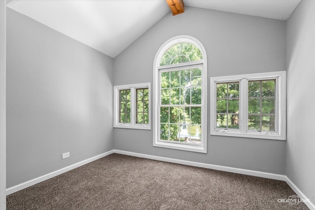 455 N River St, Montgomery, IL 60538 - empty room featuring carpet flooring