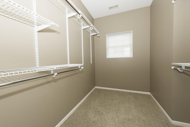 149 W Prairiefield Ave, Cortland, IL 60112 - walk in closet featuring carpet floors