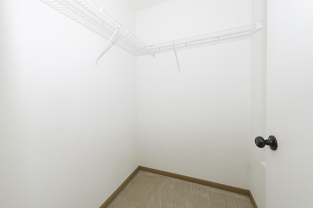 149 W Prairiefield Ave, Cortland, IL 60112 - walk in closet with carpet floors