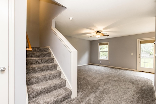 2521 Fox Trot Trl, Bloomington, IL 61705 - staircase with a ceiling fan, carpet floors, and baseboards
