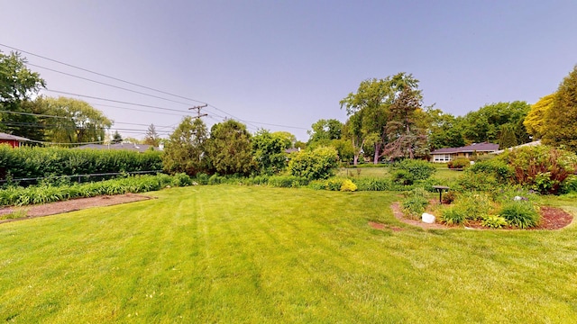 209 Viola Ln, Prospect Heights, IL 60070 - view of grassy yard
