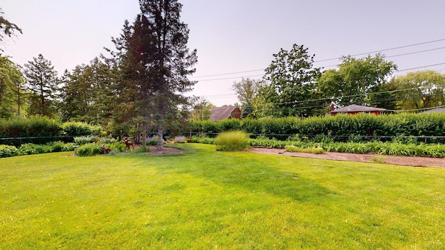 209 Viola Ln, Prospect Heights, IL 60070 - view of yard