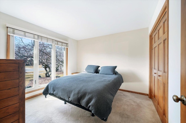 1144 W Trinity Dr, Addison, IL 60101 - bedroom with light carpet, baseboards, and a closet